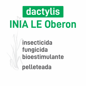 Dactylis INIA LE Oberón insec+pro pell