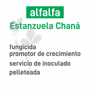 Alfalfa Estanzuela Chaná s. inoculado pell
