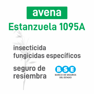 Avena Estanzuela 1095A insec BSE