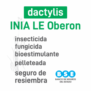 Dactylis INIA LE Oberón insec+pro pell BSE
