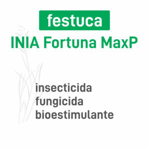 Festuca INIA Fortuna MaxP insec+pro