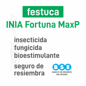 Festuca INIA Fortuna MaxP insec+pro BSE