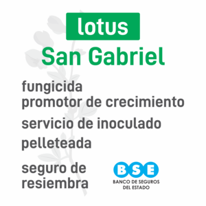 Lotus San Gabriel s. inoculado pell BSE