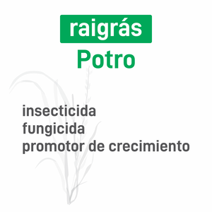 Raigrás Potro insec+pro